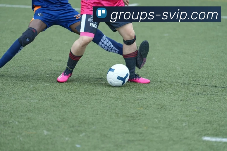 贵宾会官网平台生态图